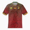 Original Fußballtrikot Kamerun Auswärtstrikot 2023-24 Für Herren